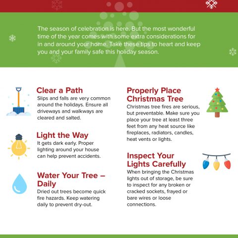 Keeping Safe on the Road This Holiday infographic